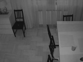 voyeurcam-julmodels-dining-2