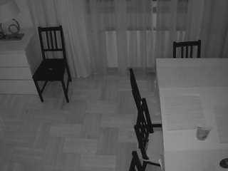 voyeurcam-julmodels-dining-2