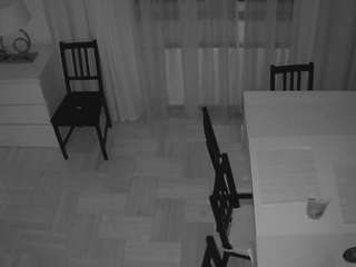 voyeurcam julmodels dining 2