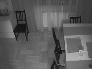 voyeurcam-julmodels-dining-2