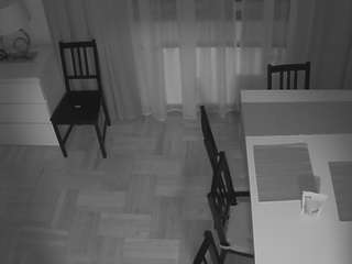 voyeurcam-julmodels-dining-2