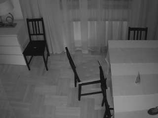 voyeurcam-julmodels-dining-2 webcam