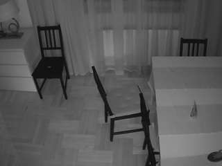 voyeurcam-julmodels-dining-2 live cam profile