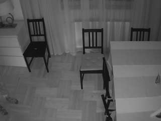 voyeurcam-julmodels-dining-2 live cam profile