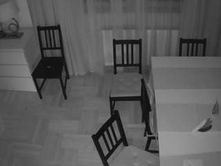 voyeurcam-julmodels-dining-2 live cam profile