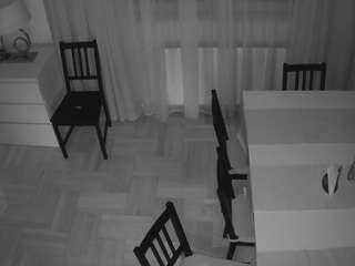 voyeurcam-julmodels-dining-2 live cam profile