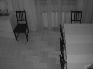 voyeurcam-julmodels-dining-2 live cam profile