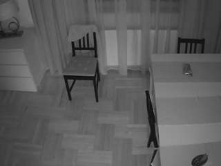 voyeurcam-julmodels-dining-2