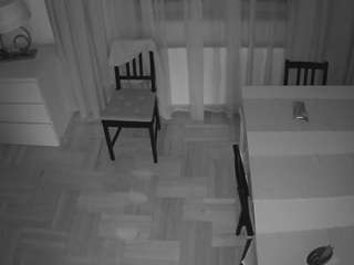 voyeurcam-julmodels-dining-2