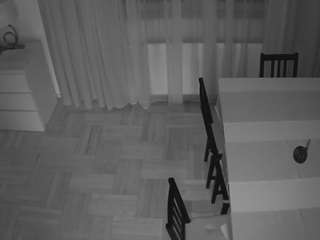 voyeurcam-julmodels-dining-2