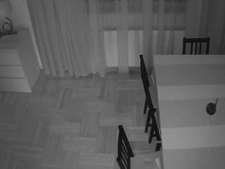 voyeurcam-julmodels-dining-2