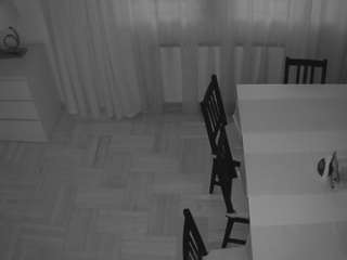 voyeurcam-julmodels-dining-2 webcam