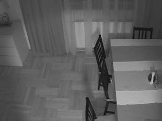 voyeurcam-julmodels-dining-2 webcam