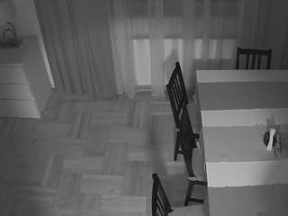 voyeurcam-julmodels-dining-2