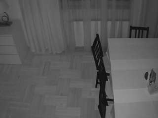 voyeurcam-julmodels-dining-2 webcam