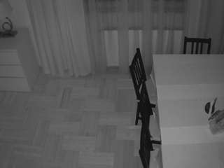 voyeurcam-julmodels-dining-2