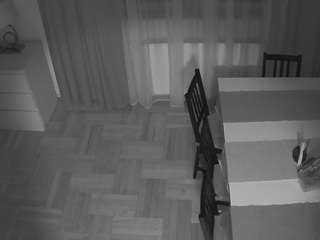 voyeurcam-julmodels-dining-2