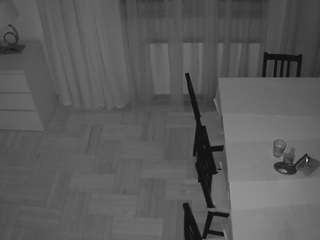 voyeurcam-julmodels-dining-2