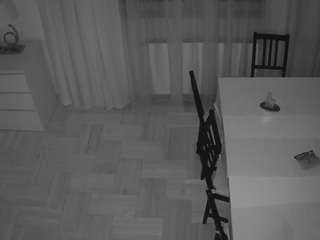 voyeurcam-julmodels-dining-2 webcam