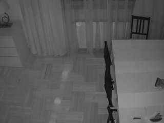 voyeurcam julmodels dining 2