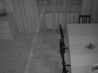 voyeurcam-julmodels-dining-2 webcam