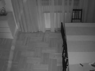 voyeurcam-julmodels-dining-2