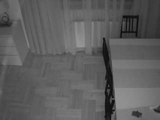 voyeurcam-julmodels-dining-2