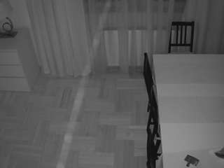 voyeurcam-julmodels-dining-2