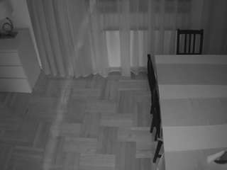 voyeurcam-julmodels-dining-2