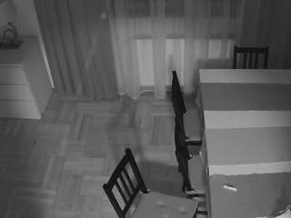 voyeurcam-julmodels-dining-2