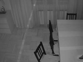 voyeurcam-julmodels-dining-2