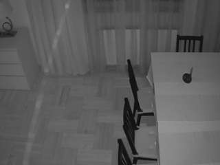 voyeurcam-julmodels-dining-2