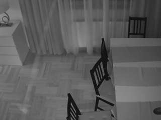 voyeurcam-julmodels-dining-2 webcam