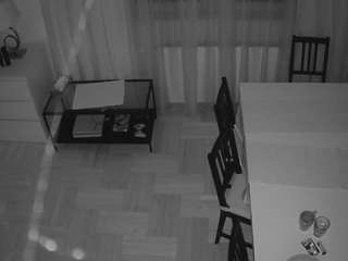 voyeurcam-julmodels-dining-2