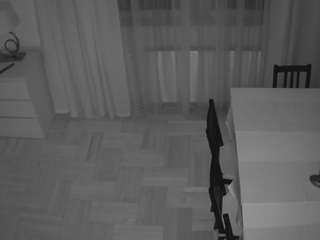 voyeurcam-julmodels-dining-2