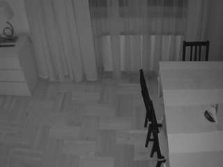 voyeurcam-julmodels-dining-2
