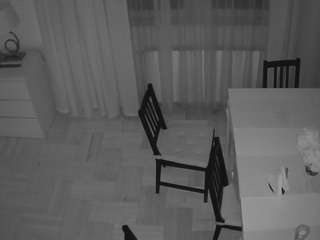 voyeurcam-julmodels-dining-2