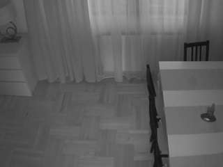 voyeurcam-julmodels-dining-2