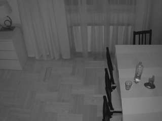 voyeurcam-julmodels-dining-2