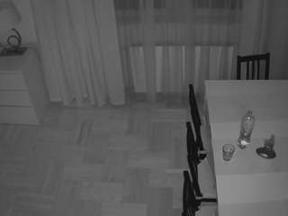 voyeurcam-julmodels-dining-2