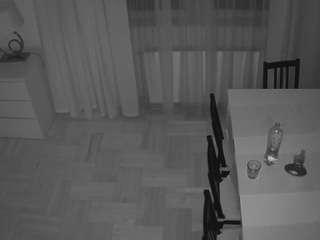 voyeurcam-julmodels-dining-2