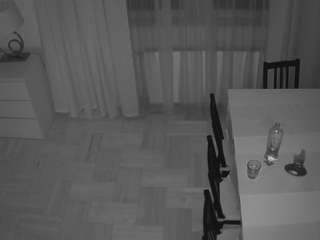 voyeurcam-julmodels-dining-2