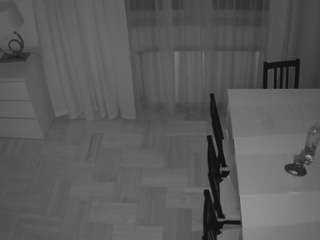 voyeurcam-julmodels-dining-2