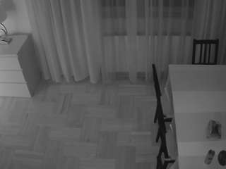 voyeurcam-julmodels-dining-2