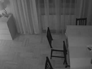 voyeurcam-julmodels-dining-2