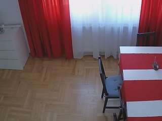 voyeurcam-julmodels-dining-2