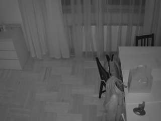 voyeurcam-julmodels-dining-2
