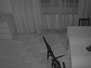 voyeurcam-julmodels-dining-2