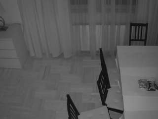 voyeurcam-julmodels-dining-2