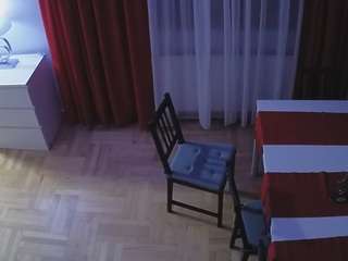 voyeurcam-julmodels-dining-2